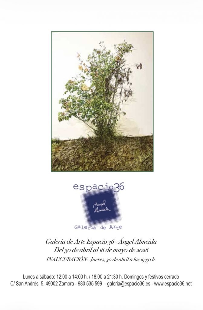 Inauguración de la exposición de Fernando Lozano Bordel